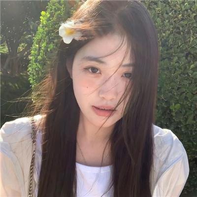 哈利玛之路